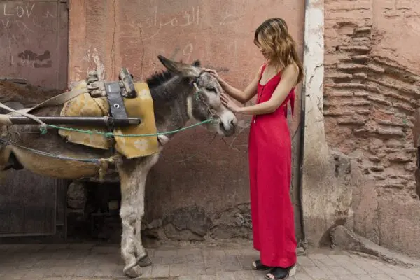 Rails Teresa Jumpsuit - Cayenne - Image 2
