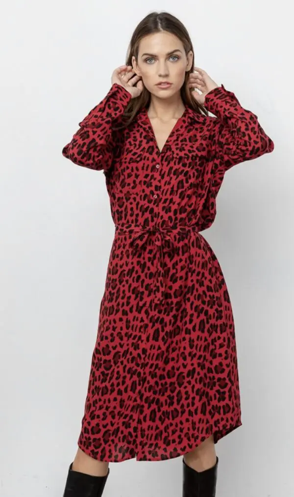 Rails Alix Dress - Red Leopard - Image 3