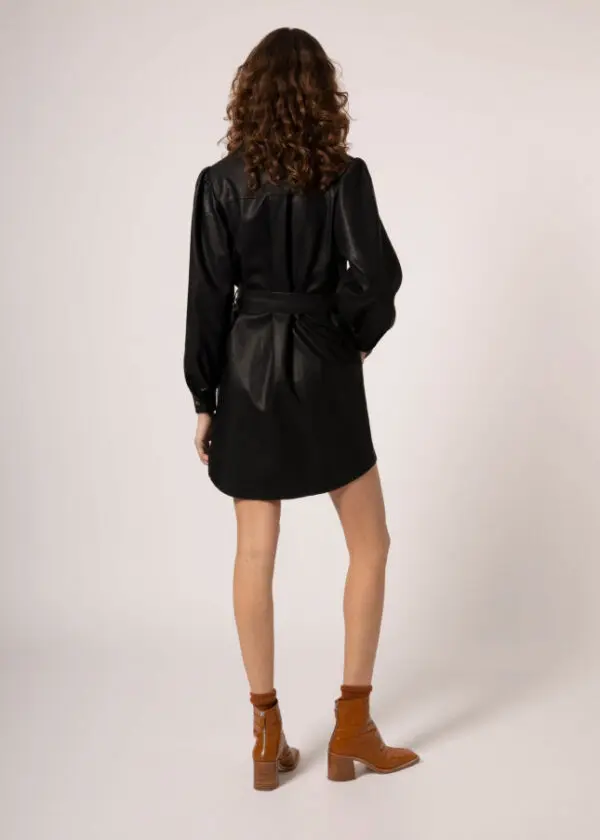 Frnch Acy Dress - Noir - Image 3