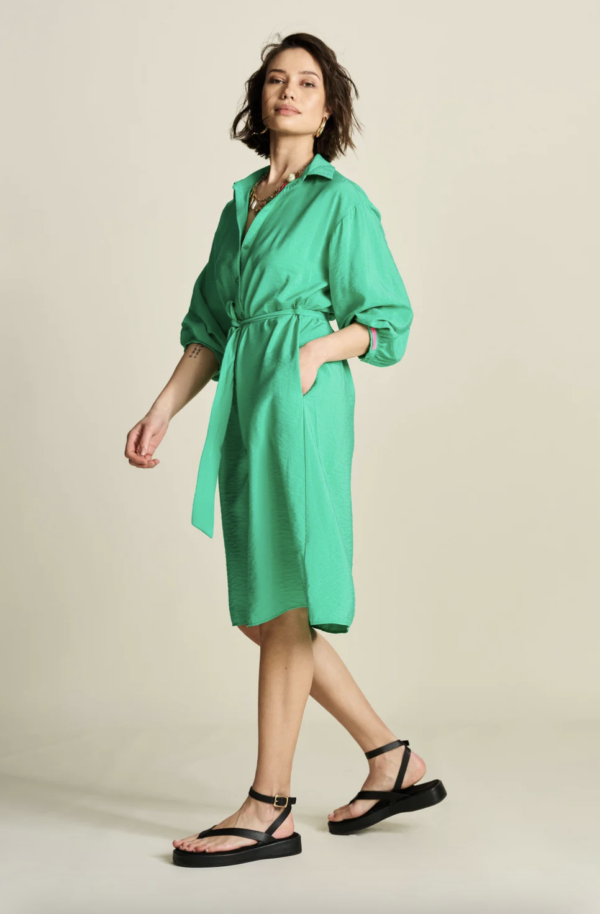 pom-amsterdam-sp7811-lush-green-stick-and-ribbon-nottingham