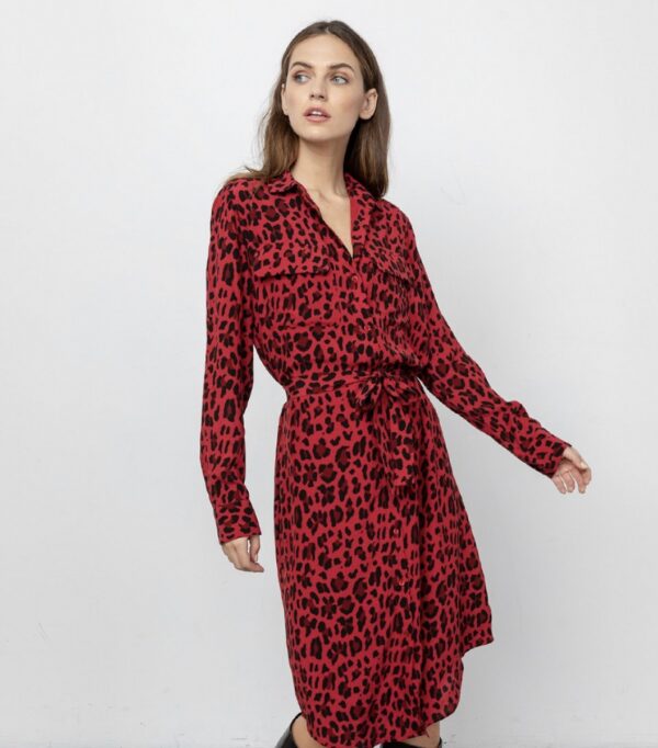 Rails Alix Dress - Red Leopard - Image 5