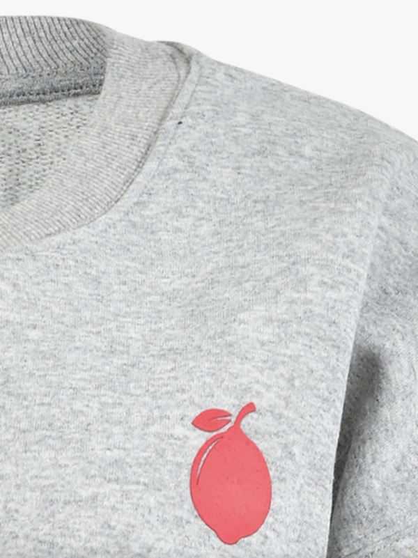 sofie-schnoor-sweatshirt-grey-melange-stick-and-ribbon-nottingham
