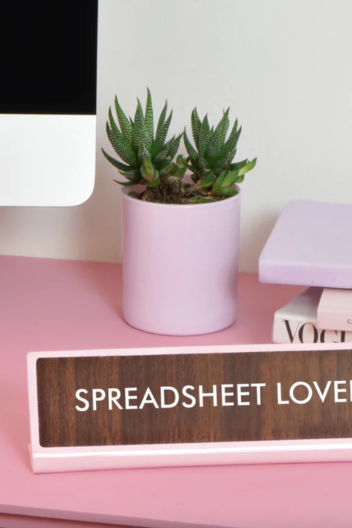 Flamingo Candles Spreadsheet Lover Desk Plate Sign